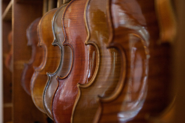 Auswahl von Geigen aus dem Sortiment